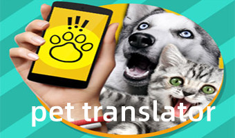 pet translator