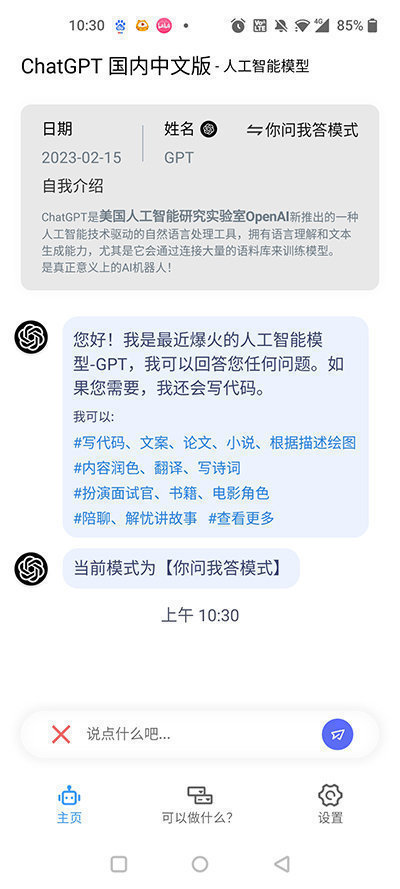 CHATGPT中文版免费官方版图2